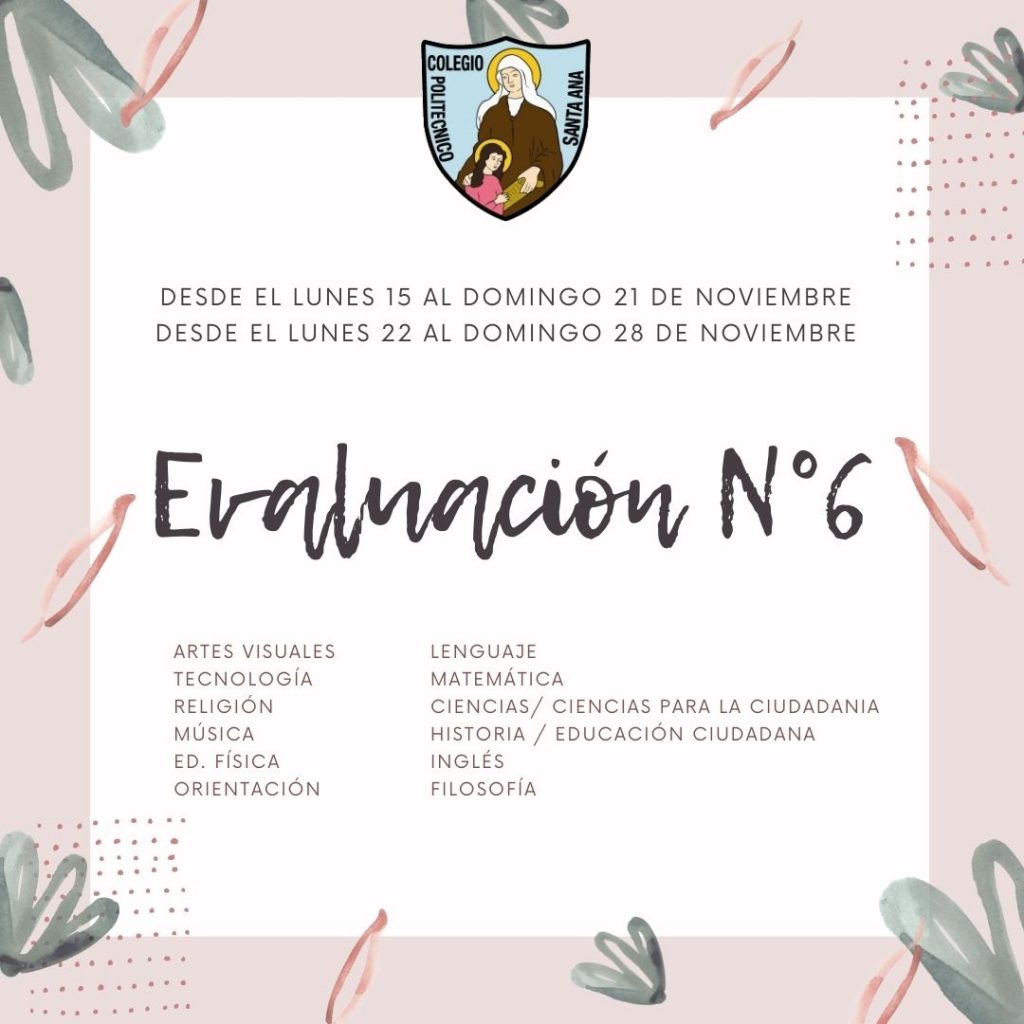 Evaluación N°6